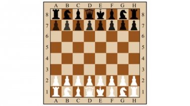 Üç hamlede satranç kombinasyonu dostum. Çocuk mat. Gambiti. 2D animasyon.