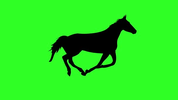 Silhouette of a running horse. Green screen background.  animation. — Stock Video