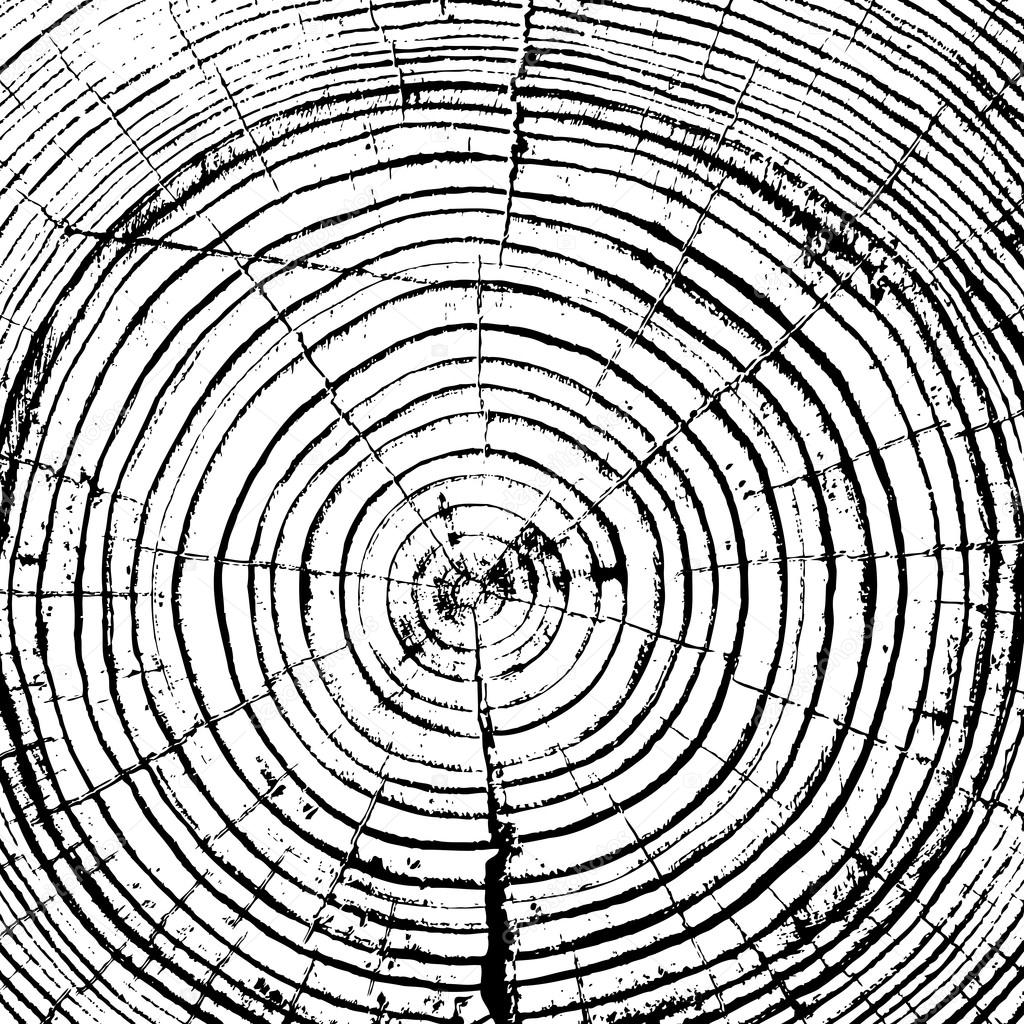 Tree rings saw cut tree trunk background.