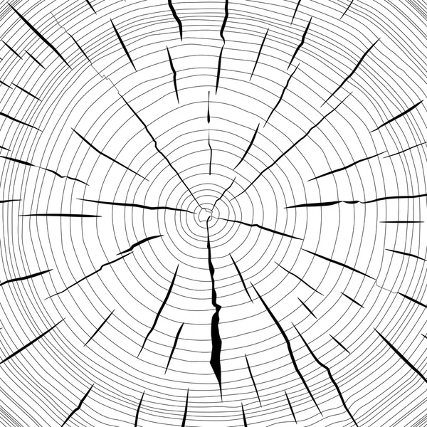 Los anillos de árboles cortaron el fondo del tronco. Ilustración vectorial. — Vector de stock