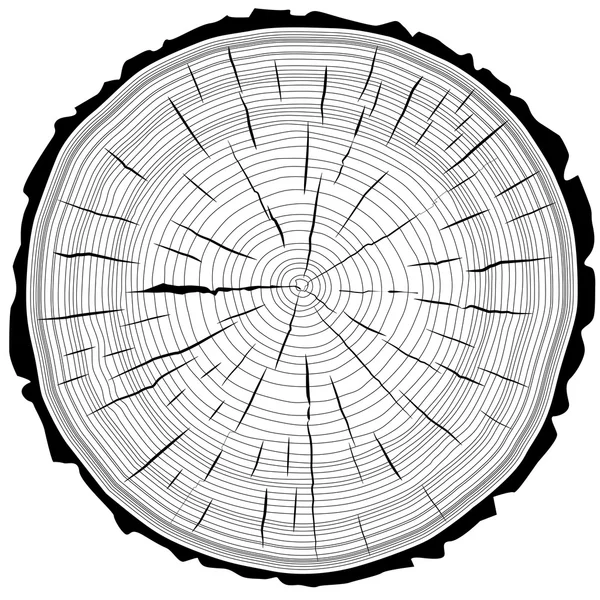 Los anillos de árboles cortaron el fondo del tronco. Ilustración vectorial. — Archivo Imágenes Vectoriales