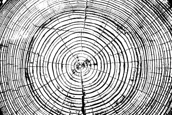Los anillos de árboles cortaron el fondo del tronco. Ilustración vectorial. — Archivo Imágenes Vectoriales
