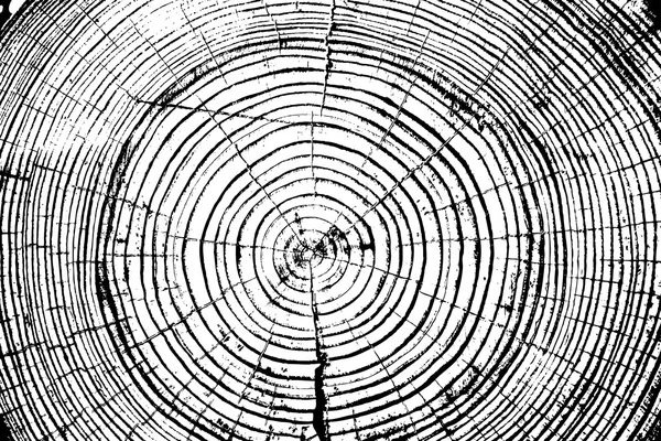 Anneaux d'arbre scie arbre coupé tronc arrière-plan. Illustration vectorielle. — Image vectorielle