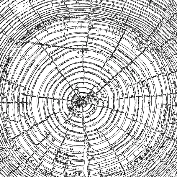 Anneaux d'arbre scie arbre coupé tronc arrière-plan. Illustration vectorielle. — Image vectorielle