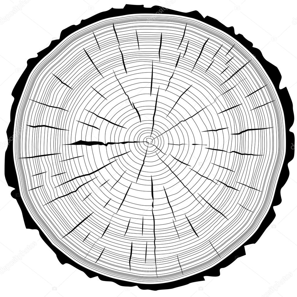 Vektorgrafiken Baumscheibe Vektorbilder Baumscheibe Depositphotos
