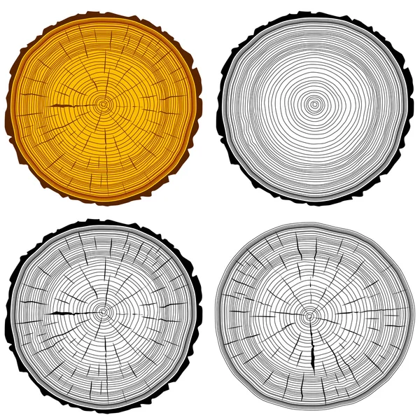 Boom ringen zag gesneden tree trunk achtergrond instellen. Vector illustratio — Stockvector