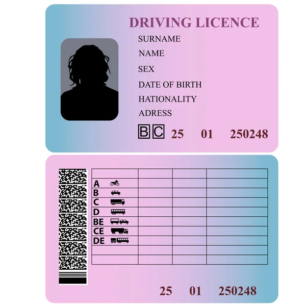 Driving license woman. Vector illustration. — Stock Vector