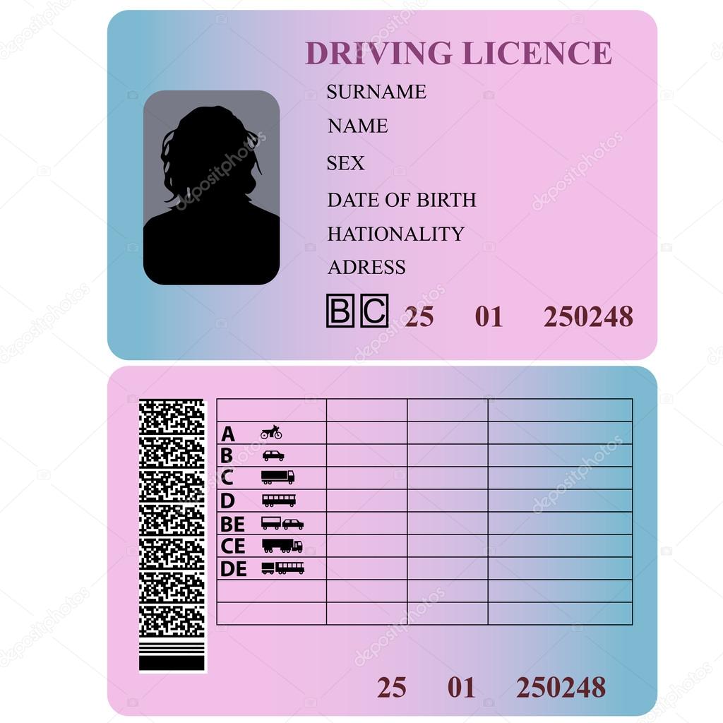 Driving license woman. Vector illustration.