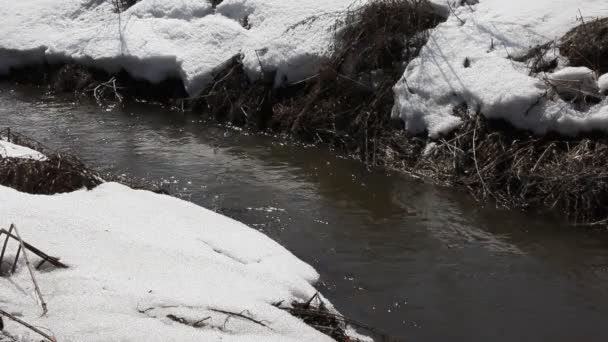 Våren smältande snö på floden, i April. — Stockvideo