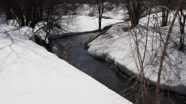4 月の雪、川の春融雪. — ストック動画