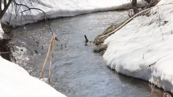 Навесні танення снігу на річці, в квітні. — стокове відео