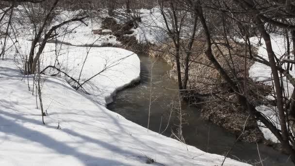 Primavera scioglimento della neve sul fiume, nel mese di aprile . — Video Stock