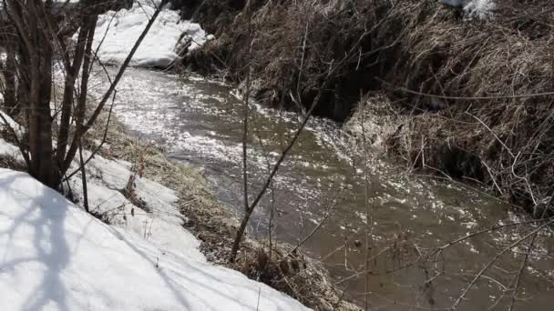 春天融化的雪河上，在 4 月. — 图库视频影像