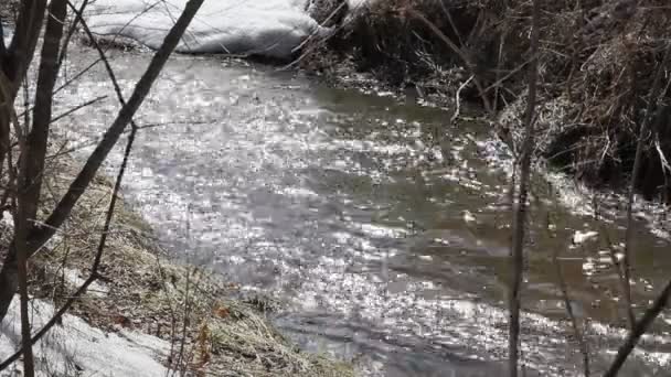 Våren smältande snö på floden, i April. — Stockvideo