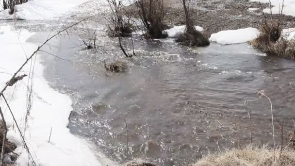 Frühling Schneeschmelze auf dem Fluss, im April. — Stockvideo