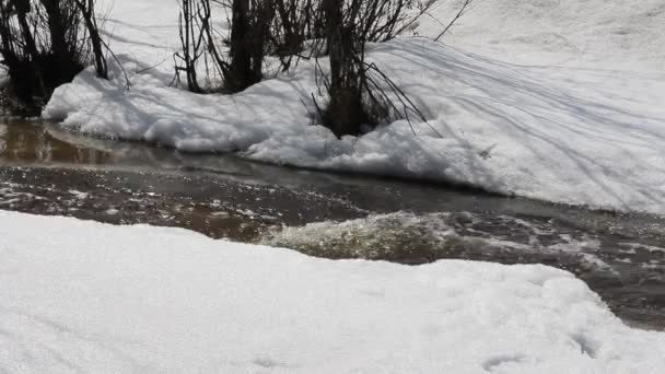 Vårsmelting av snø på elva, i april . – stockvideo
