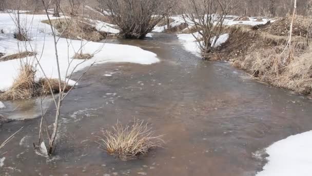 Primavera fusión de nieve en el río, en abril . — Vídeos de Stock