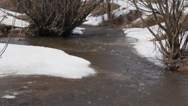 Lente smelten van sneeuw op de rivier, In April. — Stockvideo