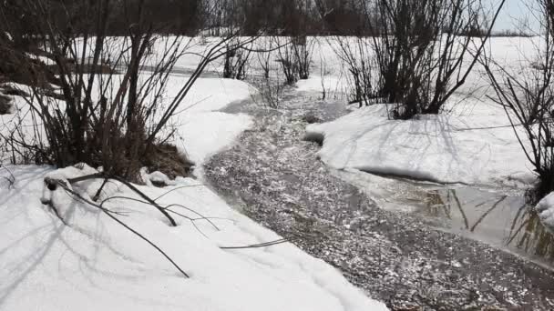 Primavera fusión de nieve en el río, en abril . — Vídeos de Stock