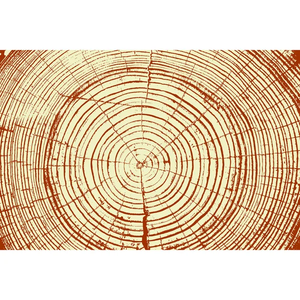 Boom ringen zagen gesneden boomstam achtergrond. Vectorillustratie. — Stockvector