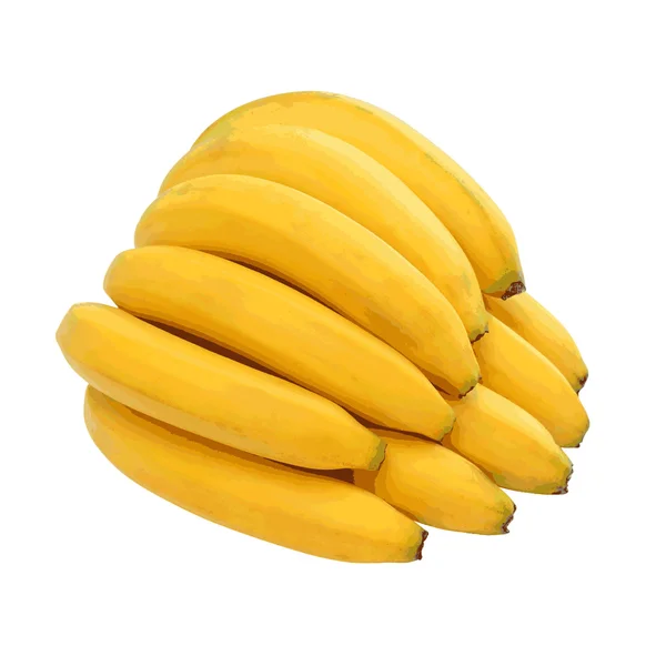Massa bananer isolerade på vit bakgrund. Vector illustrati — Stock vektor