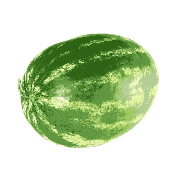 Mogen vattenmelon isolerad på vit bakgrund. Vector illustratio — Stock vektor