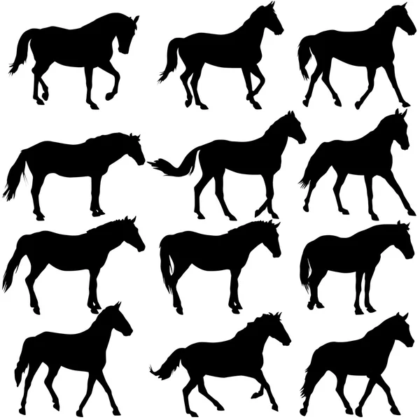 Nastavit silueta koně. vektorové ilustrace. — Stockový vektor