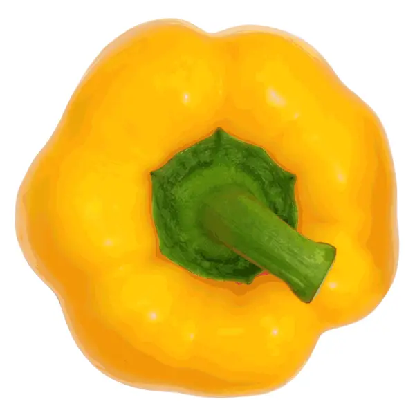 Yellow sweet  bell pepper isolated on white background. Vector i — Stock Vector