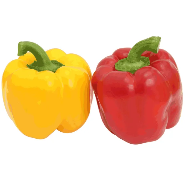 Red and yellow sweet  bell pepper isolated on white background. — Stock Vector