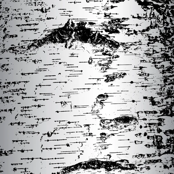 Bark of birch in the cracks texture. Vector illustration. — Stock Illustration Bark of birch in the cracks texture. Vector illustration. Royalty Free Stock Vectors