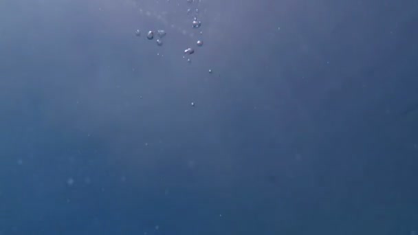 Пузырь из воздуха поднимается вверх к солнцу . — стоковое видео