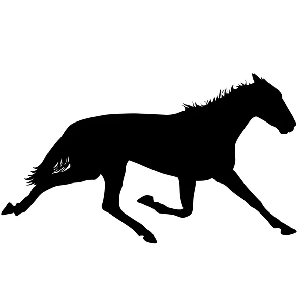 Silhouette de cheval mustang noir — Image vectorielle