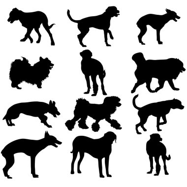 Set siluet siyah köpek. Vektör çizim.