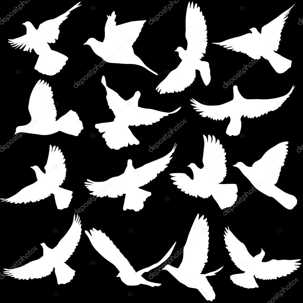 Concept of love or peace. Set of silhouettes of doves. Vector il