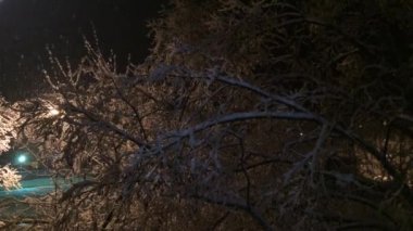 Noel gecesi. arka plan ışığı kar yağışı.