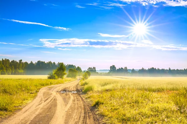 Summer rural landscape with a field, sunrise and  road