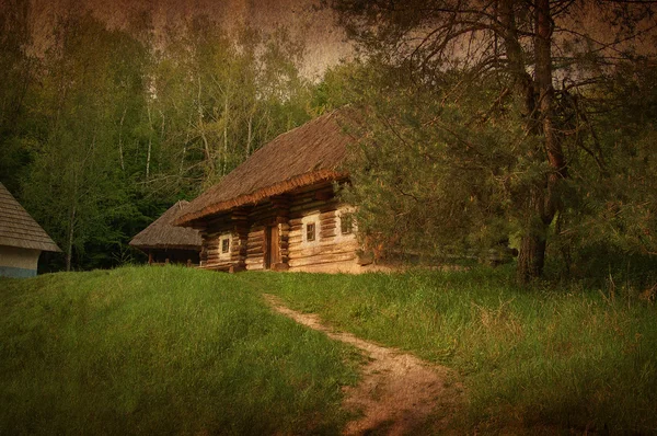 Oude hut in het bos, artistieke afgezwakt beeld — Stockfoto