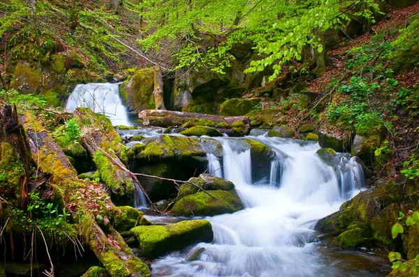 Karpaty. — Fotografia de Stock