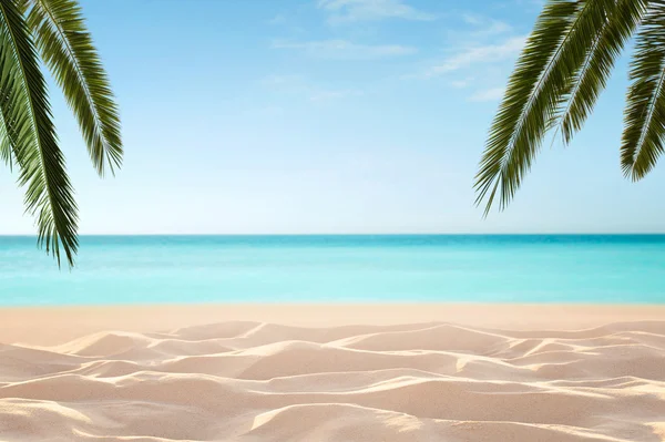 Empty tropical beach — Stock Photo, Image