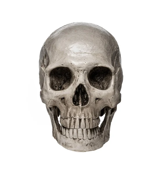 Close Human Skull Isolated White Background — Stock Photo, Image