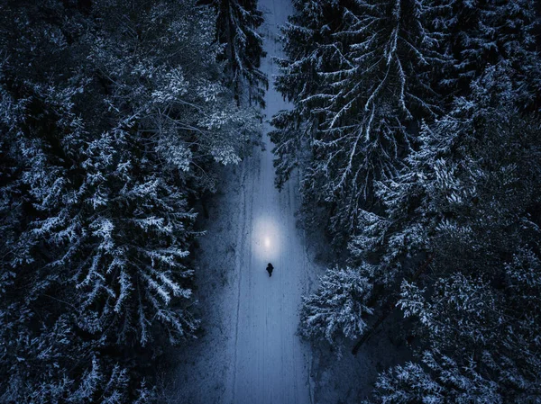 Hombre Solitario Caminando Por Bosque Durante Noche Invierno — Foto de Stock