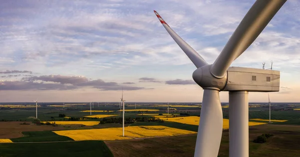 Panoramaaufnahme Von Windkraftanlagen Bei Sonnenuntergang Mit Kopierraum lizenzfreie Stockfotos