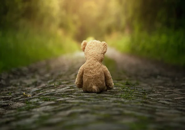 Yalnız bir oyuncak ayı — Stok fotoğraf