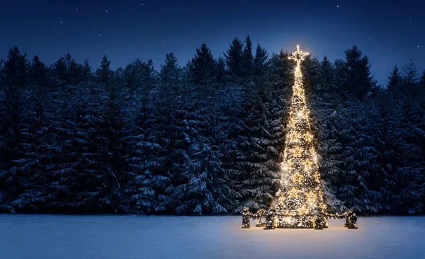 Albero di Natale nella neve — Foto Stock