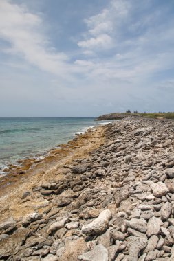 Atlantik Okyanusu vahşi tarafı beach
