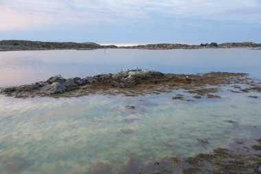 Norveç doğa manzaraları