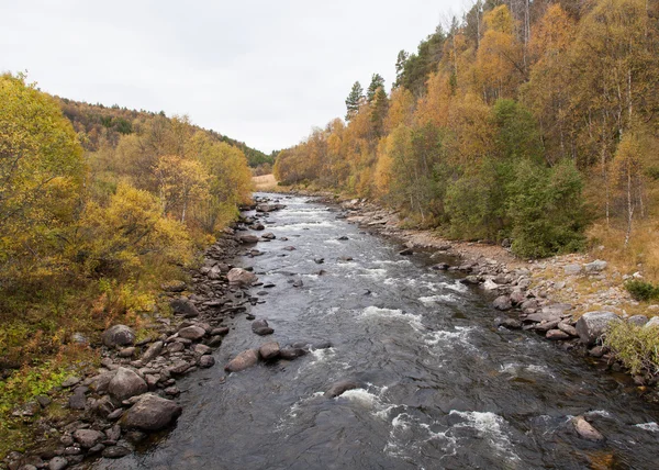 Norwegische Naturlandschaften — Stockfoto