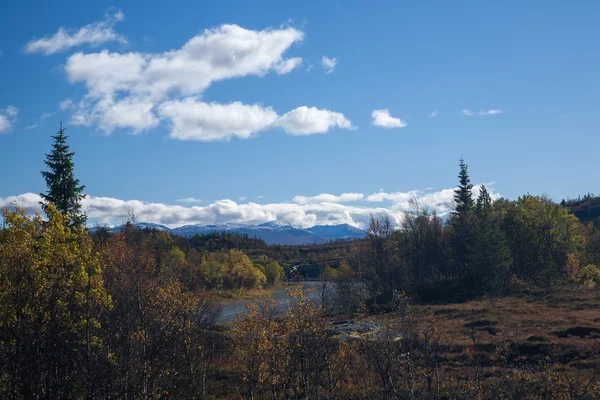 Norge natur landskap — Stockfoto