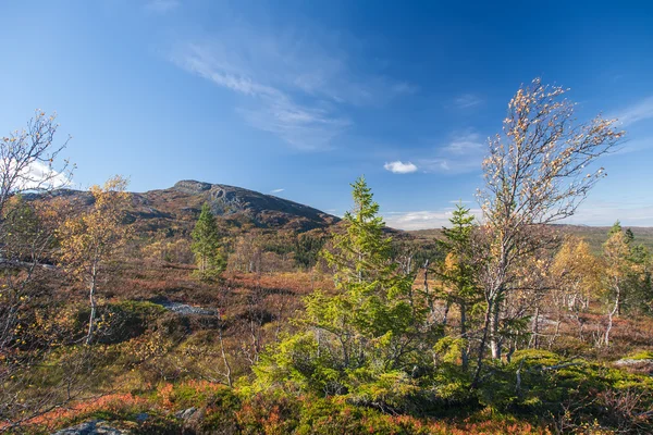 Norwegische Naturlandschaften — Stockfoto