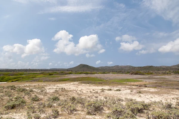 Ilha do Caribe do Bonaire — Fotografia de Stock